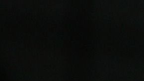 El perro fue recompensado por su buena acción.