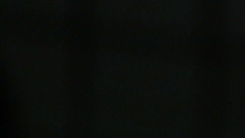 El perro fue recompensado por su buena acción.