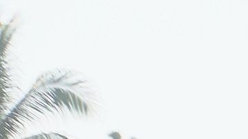 El grupo de migrantes consiguió cruzar el río Suchiate y avanzar durante horas hacia el interior de México.