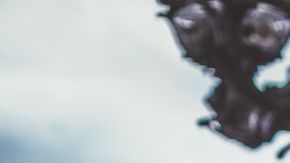 El reto de los 12 destinos que debes visitar este año, París / Créditos: Getty