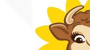 Borden en bancarrota.