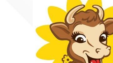 Borden en bancarrota.