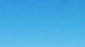 También se les dará alojamiento de lujo en la villa.