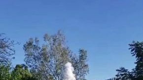 Andy Lovos, de 19 años, fue expulsado del Desfile de las Rosas poco antes de comenzar.