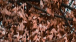 Vivir cerca una zona escolar tiene beneficios pero también otros situaciones no tan favorables.