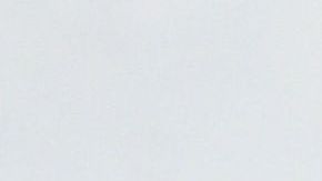 La directora de la película, Niki Caro