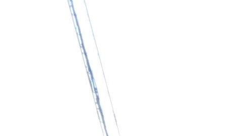 La tragedia se debió a la afluencia masiva de ciudadanos.