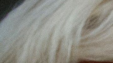 Nancy Pelosi, con los presidentes de los comités y los encargados de la acusación de la Cámara, firma los artículos de la acusación.