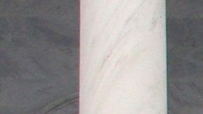 Desobediencia civil ante el Congreso exigiendo acción climática.