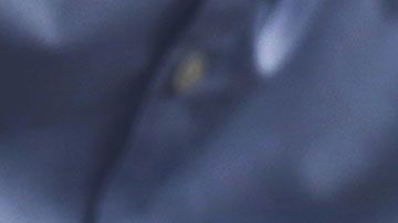 Abreviar esta fecha en documentos importantes podría meterte en muchos problemas.