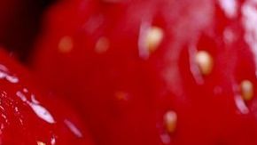 fresas-katie175 en Pixabay