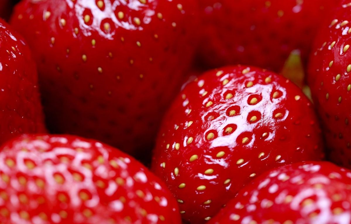 Las fresas son una de las frutas con mayor capacidad antioxidante.