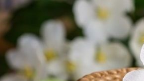 galletas María-px here