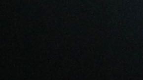 Mayorga tuvo varias peleas de título mundial.