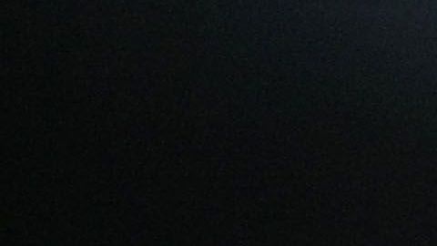 Mayorga tuvo varias peleas de título mundial.