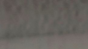 El MPP cumple un año de operación.