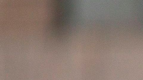 Miles de indocumentados tienen hijos estadounidenses.