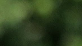 El carpintero Greg Zanis con una cruz para una de las víctimas del tiroteo en Virginia Beach, el 2 de junio de 2019.