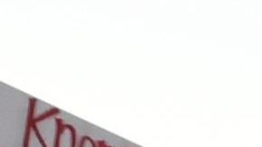 Niños muertos al enfermar en custodia de inmigración.