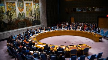 El Consejo de Seguridad tiene reunión el 9 de enero.
