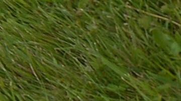 Protesta por muertes en cárceles de ICE en agosto de 2019.