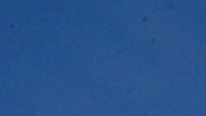 Tyrann Mathieu ama su playera del tricolor.