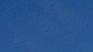 Tyrann Mathieu ama su playera del tricolor.