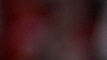 Chicharito continuará su carrera en la MLS.