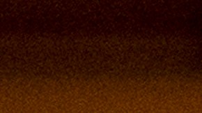 La representante García, de Texas.