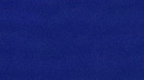 El exvicepresidente Joe Biden y el senador Bernie Sanders.