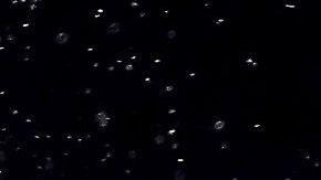 Andy Ruiz podría regresar ante el británico Dillian Whyte.