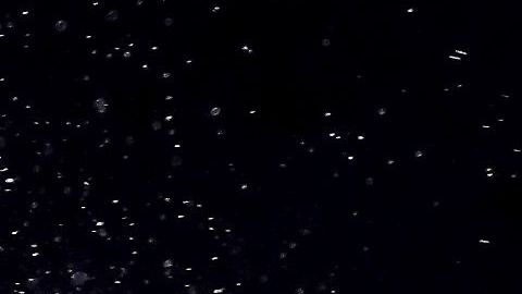 Andy Ruiz podría regresar ante el británico Dillian Whyte.