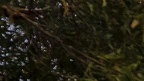 El ganador no contaba con seguro de casa.