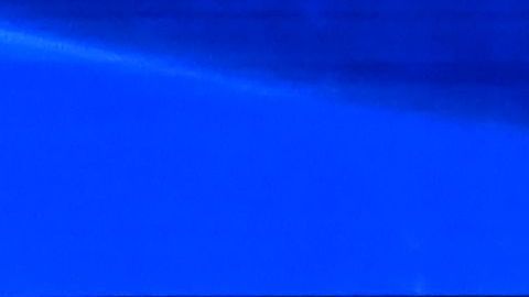 Warren, Biden y Sanders, los favoritos de la nominación demócrata.