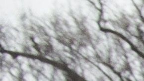 Manifestantes con una pancarta cerca de la Casa Blanca durante la Marcha de las Mujeres 2020.