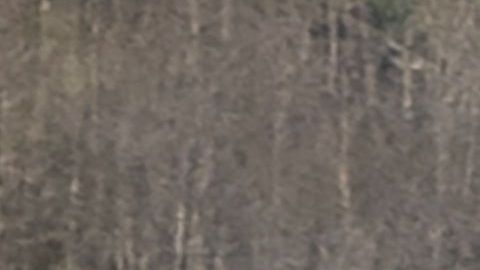 El helicóptero se estrelló contra una montaña a 1,700 pies de altura.