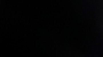 "The Notorious" celebra su regreso