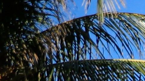 Vista general del estudio de Fox Sports en Miami Beach con motivo del Super Bowl.