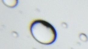 Se recomienda prepararse para la lluvia en el sur de California.