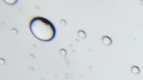 Se recomienda prepararse para la lluvia en el sur de California.