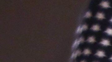 Immigrants Sworn In As US Citizens At Naturalization Ceremony