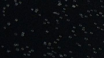 Es raro ver un nocaut así.