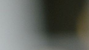 Winery Trump, a la salud de los indocumentados.