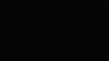 Vuelos de deportación Tucson-Guadalajara.