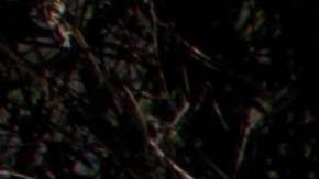 MEXICO-DRUG-TRAFFICKING-POPPIES