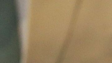 Greg Abbott, gobernador de Texas.