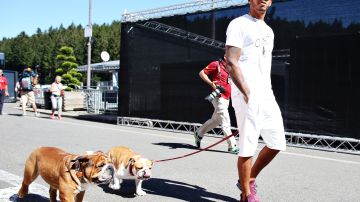 Lewis Hamilton tiene dos bulldogs.