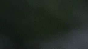 Ocuparon drogas valoradas en casi $1 millón de dólares.