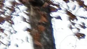 Este fin de semana sucedió otra tragedia en el futbol de Italia.