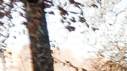 Este fin de semana sucedió otra tragedia en el futbol de Italia.